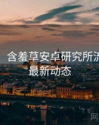 超详细！含羞草安卓研究所流程复盘最新动态