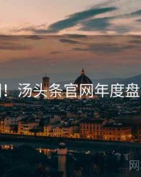 超详细！汤头条官网年度盘点速览