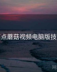 核心亮点蘑菇视频电脑版技术拆解