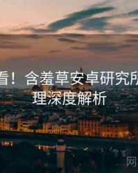 冲浪必看！含羞草安卓研究所爆点整理深度解析