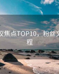 吃瓜争议焦点TOP10，粉丝文化全流程