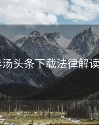 2022年汤头条下载法律解读全档案