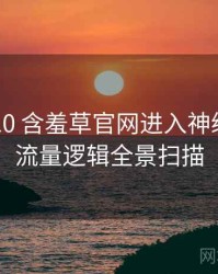 2021-10 含羞草官网进入神级操作：流量逻辑全景扫描