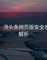 图解版：汤头条网页版安全攻略深度解析